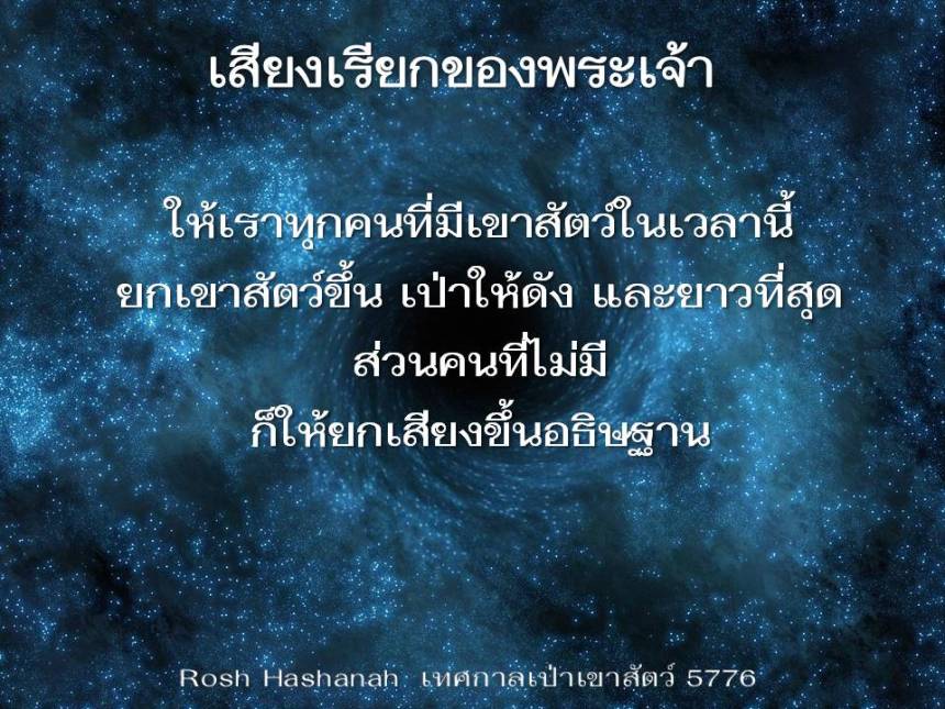 ภาพนิ่ง8