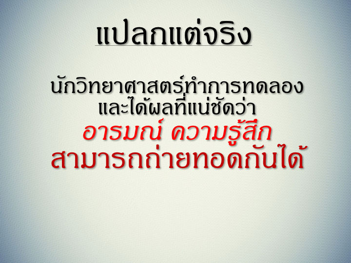 001_%e0%b9%80%e0%b8%9b%e0%b9%87%e0%b8%99%e0%b9%81%e0%b8%aa%e0%b8%87%e0%b8%aa%e0%b8%a7%e0%b9%88%e0%b8%b2%e0%b8%87-015